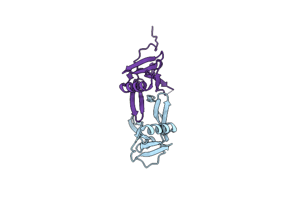 2D2A image