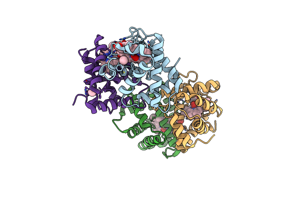 2D2N image