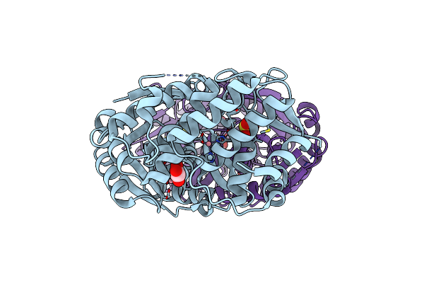 2D2X image
