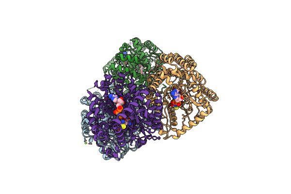 2D32 image