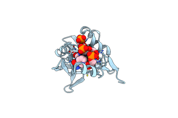 2D38 image