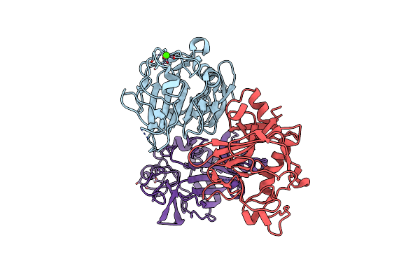 2D39 image