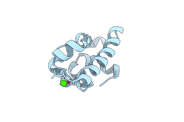 2D3D image