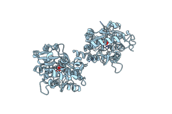 2D3I image