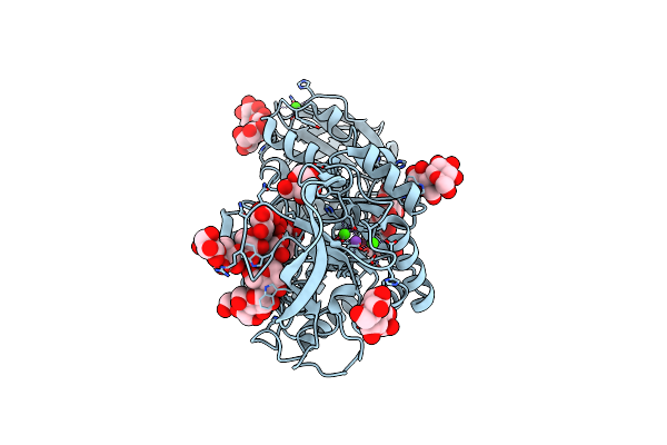 2D3N image