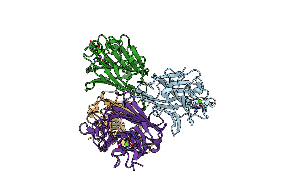 2D3P image