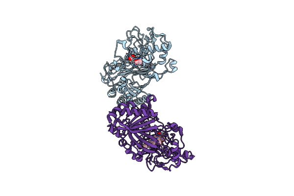 2D3Q image