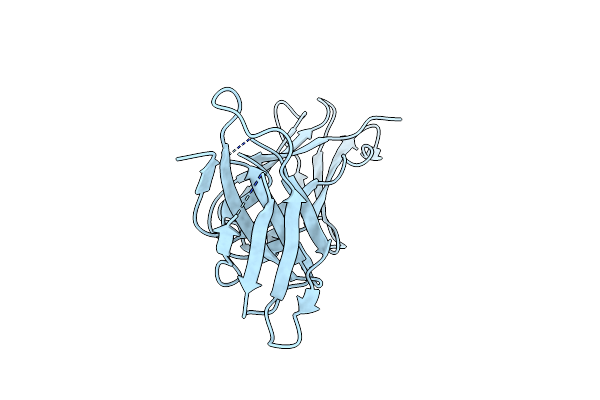 2D3V image