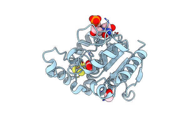 2D3Y image