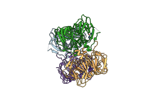 2D40 image