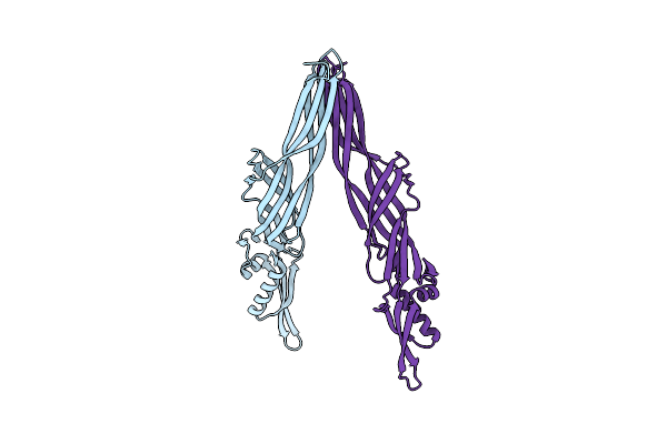 2D42 image