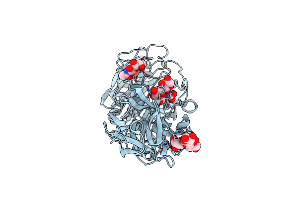 2D44 image