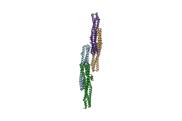 2D4C image