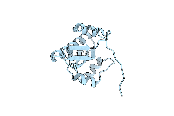 2D4O image