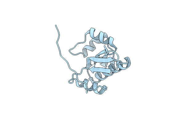 2D4P image
