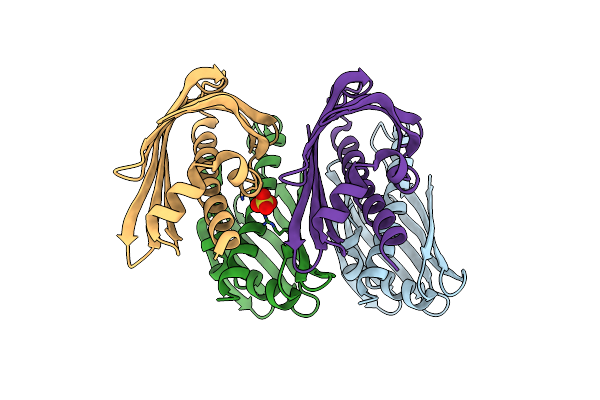 2D4R image