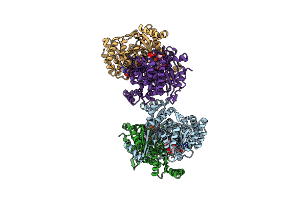 2D4V image