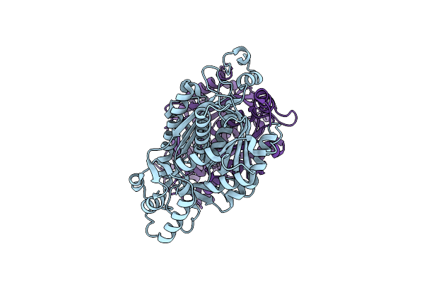 2D51 image