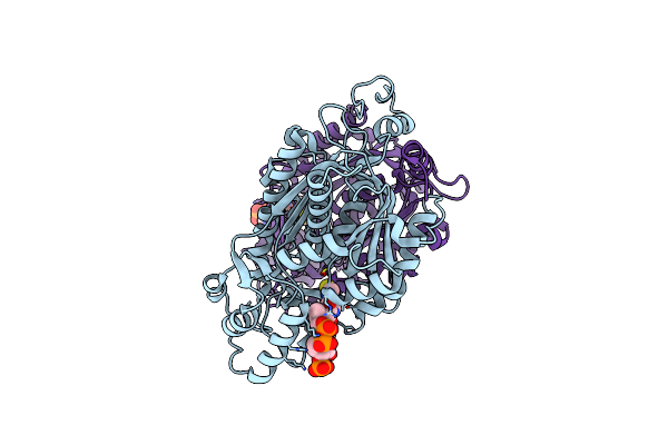 2D52 image