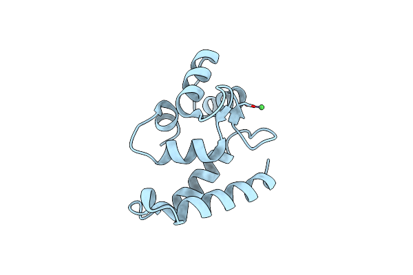 2D58 image