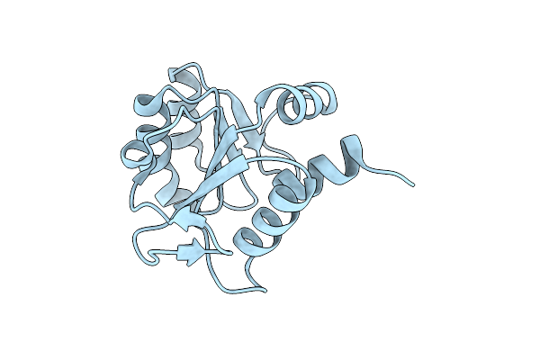 2D59 image