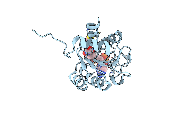 2D5A image