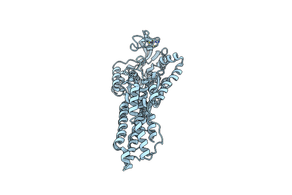 2D5B image