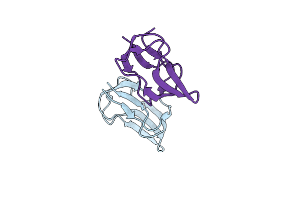 2D5D image