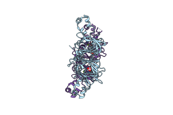 2D5F image