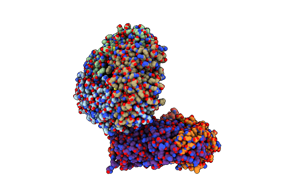 2D5H image
