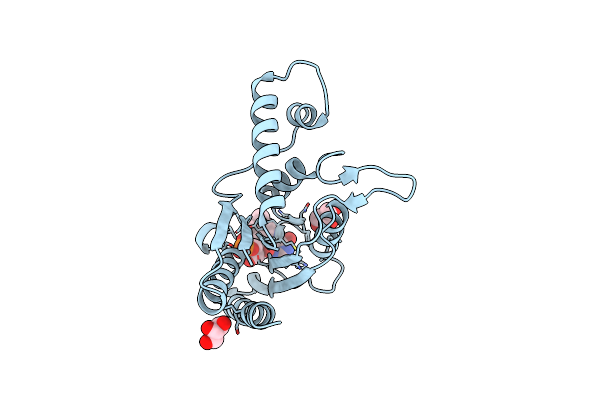 2D5I image