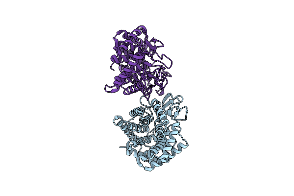 2D5J image