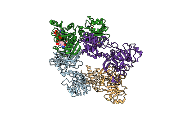 2D5N image
