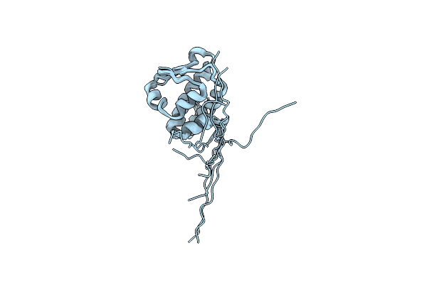 2D5U image