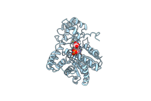 2D61 image