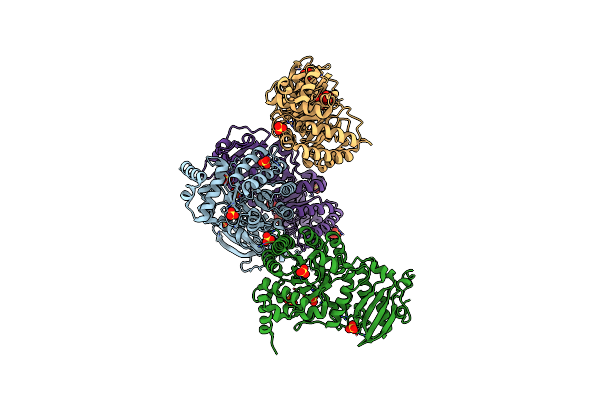 2D69 image