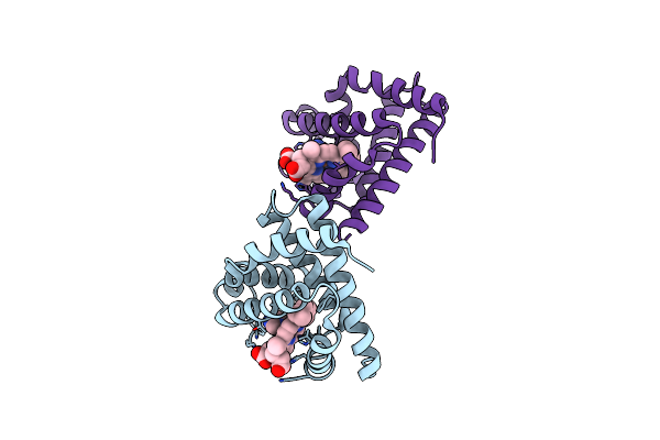 2D6C image