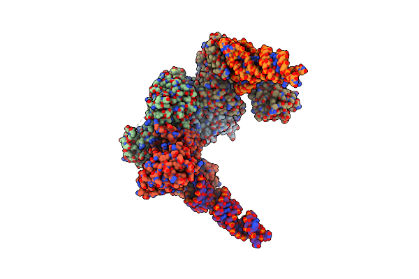 2D6F image