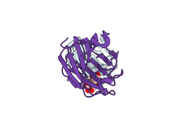 2D6M image