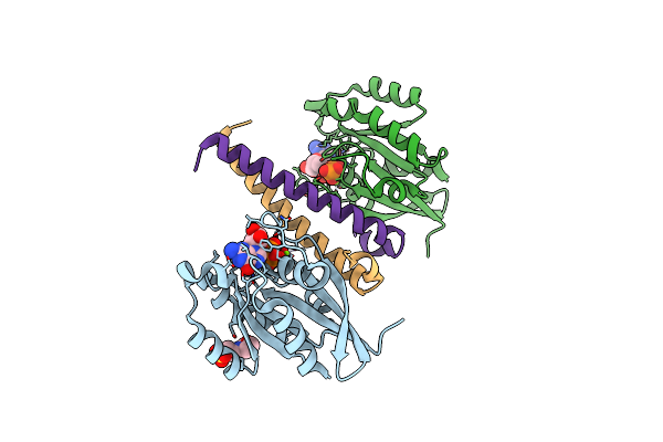 2D7C image
