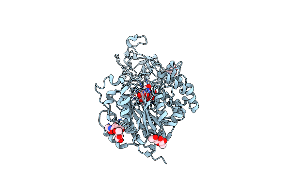 2D7I image