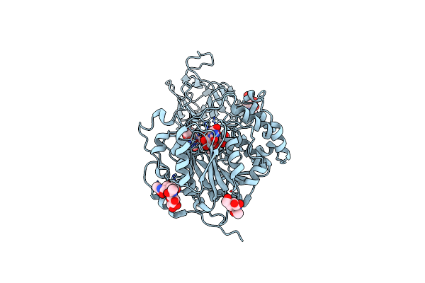 2D7R image