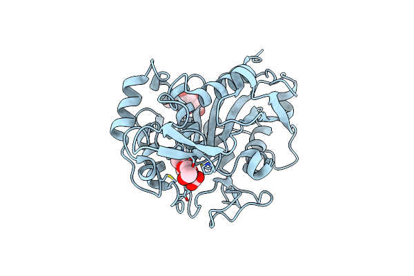 2D81 image