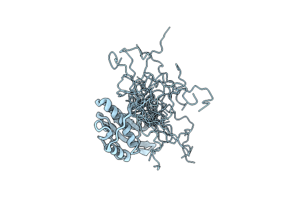 2D8B image