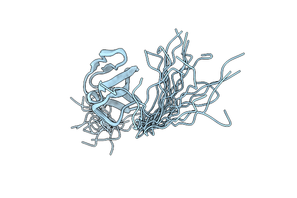 2D8H image