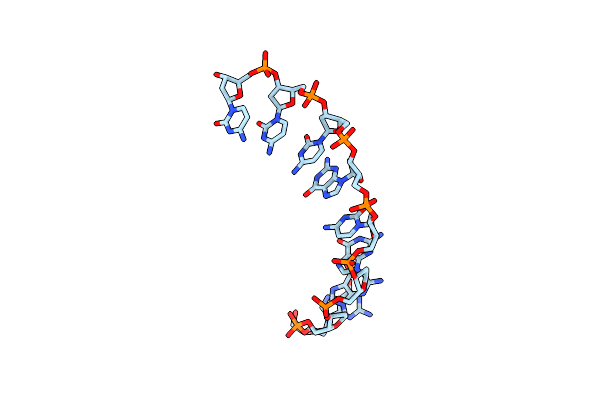 2D95 image