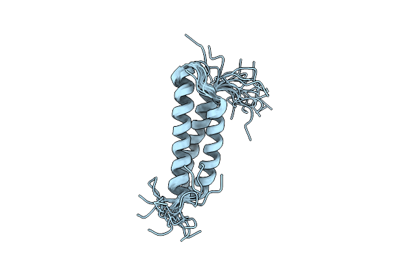 2D9D image