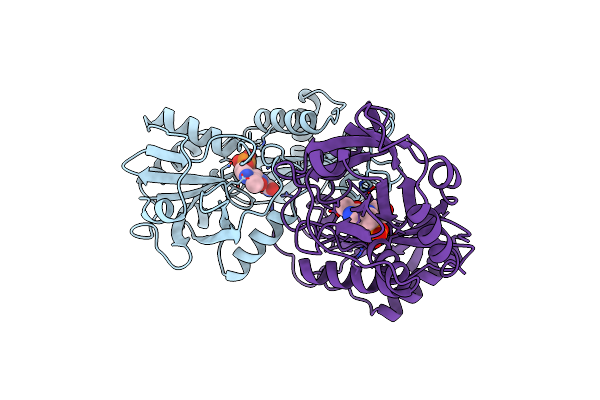 2DAA image