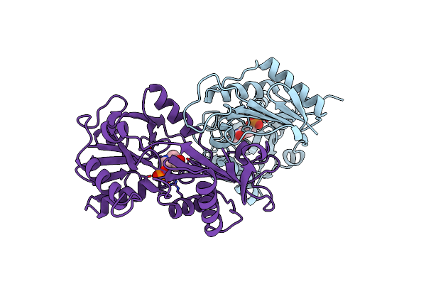 2DAB image