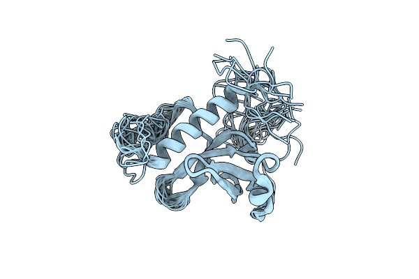 2DAQ image